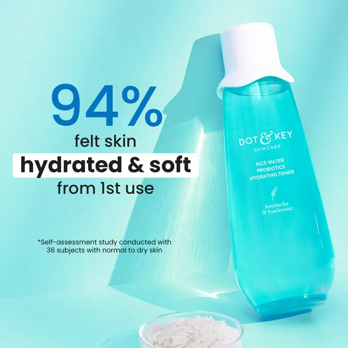 Blueberry Hydrate Barrier Repair Rice Water Toner