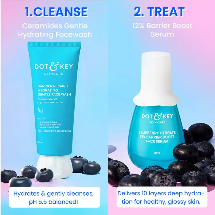 Barrier Repair CSMS Routine